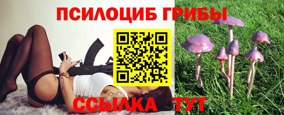 Галлюциногенные грибы прущие грибы  Вход с VPN  Псилоцибиновые грибы MAGIC MUSHROOMS  Новодвинск 