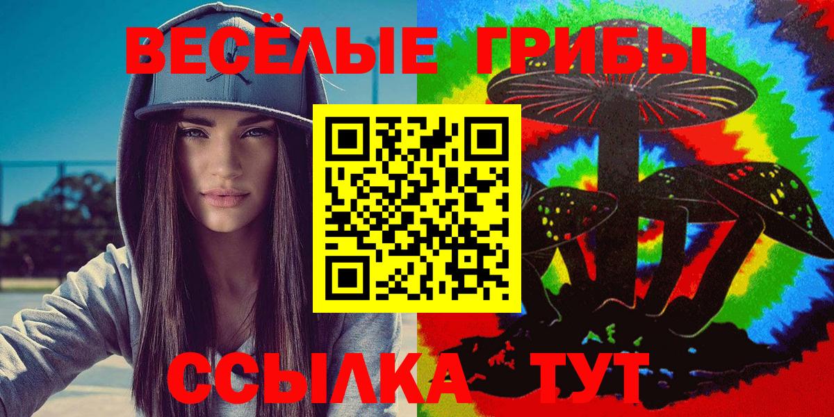 Псилоцибиновые грибы GOLDEN TEACHER Новодвинск